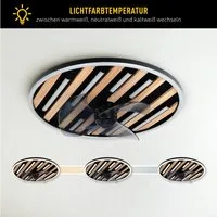OTTO home LED Deckenleuchte Deckenventilator Vollo, CCT - über Fernbedienung, Dimmfunktion, Memoryfunktion, Nachtlichtfunktion, Ventilatorfunktion, mehrere Helligkeitsstufen, LED wechselbar, warmweiß - kaltweiß, inkl. Ventilator, dimmbar, CCT, Memory