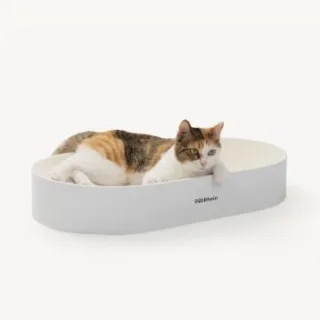 PetRhein Zen Paw Kratzpappe weiß
