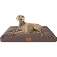 Knuffelwuff Hundematte Hundekissen Gatsby, Wasserabweisend