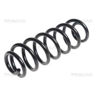 Triscan Feder hinten VW Passat B6 B7 875029364