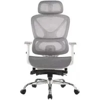 FOXSPORT Bürostuhl, Ergonomischer Premium-Schreibtischstuhl (Computer-Bürostuhl), 4D-Armlehnen, 3D-Kopfstütze, 4D-Lendenstütze, Rückenlehne (90°–135)