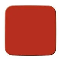 Rot