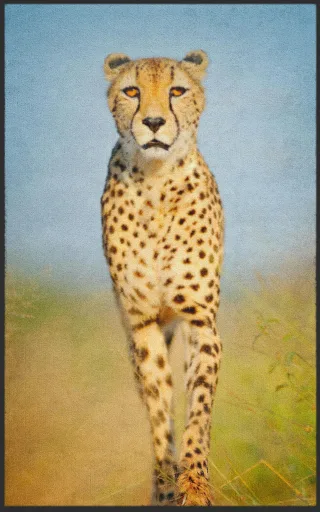 Fussmatte Gepard 7785 | Größe: 60 cm x 90 cm
