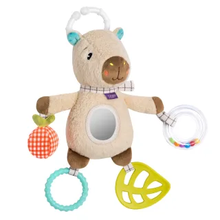 Fehn Activity-Capybara
