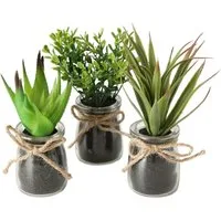 Kunstpflanze Deko Kunstpflanze im Glas - 3er Set Kunstpflanze, Spetebo, Höhe 17.00 cm, Glasvase mit Sukkulenten