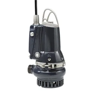 Grundfos Schmutzwasserpumpe 96877478 Grauguss, 10 m Kabel, DP10.50.09.E.2.50B, R 2 AG