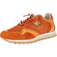 Cetti Cetti C-848 SRA V25-26 - Damen Sneaker - Used-Tin-Ambar Sneaker