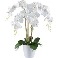 Kunstpflanze Kunstpflanze Orchidee