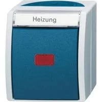 Heizungsnotschalter AP mit Namensschild 2601/2 SKWNH-53 grau, Retail