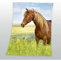 Wohndecke Pferde Fleecedecke Kuscheldecke mit Pferd 130 x 160 cm, KK, Langlebig