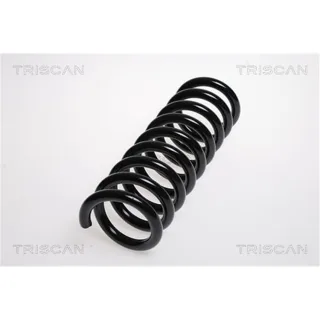 Triscan Feder hinten Mercedes Clk 875023117