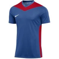 Nike Fußballtrikot Nike Performance Park Derby IV Trikot Kids Teamsport