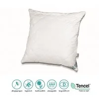 Bach's Bettenwelt Kopfkissen Lyocell Tencel Kissen Kopfkissen 80x80 cm optimale Klimaregulierung, mit Innenkissen, Höhe verstellbar