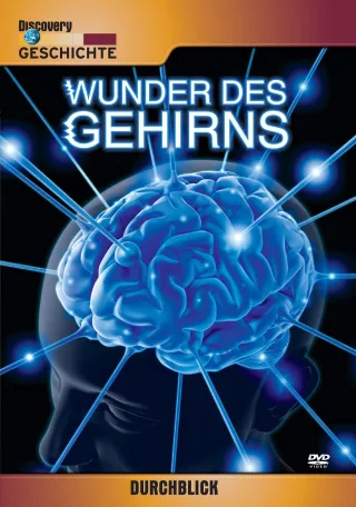 Durchblick - Wunder des Gehirns [DVD] [2008]