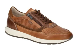 Pikolinos M2B-6263C1 brandy Herren Sneaker GETAFE Echtleder bequem Schn?rschuhe