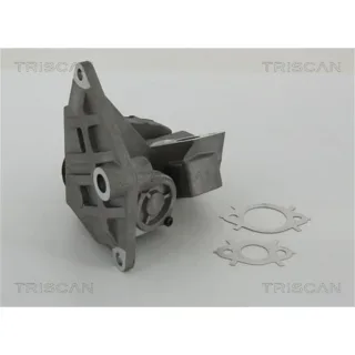 Triscan AGR-Ventil 881329047 Audi Seat Skoda VW
