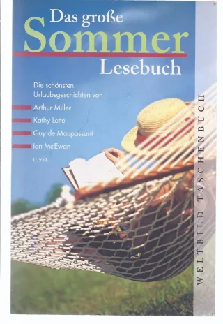 Das große Sommerlesebuch - [die schönsten Urlaubsgeschichten].