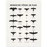 Posterlounge Wandbild Heimische Vögel im Flug, Iris Luckhaus, erhältlich als Poster, Leinwandbild, Wandsticker oder Acrylglasbild