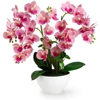 Kunstorchidee PASCH® XXL Orchidee künstlich wie echt (56cm) in Hochglanz-Keramiktopf Orchidee, PASCH