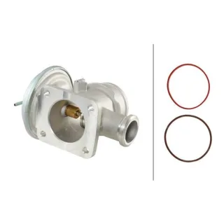 Hella AGR-Ventil BMW 3er 5er 7er X5 Land Rover Freelander Range