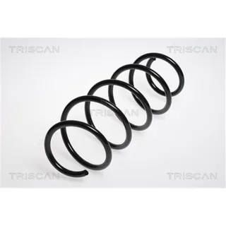 Triscan Feder vorne Audi A2 Seat Cordoba Ibiza