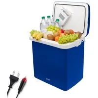 TZS FIRST AUSTRIA Elektrische Kühlbox 32L, Mini-Kühlschrank, 12V /230V Anschluss, 12-V-Stecker fürs Auto, für Camping, Festivals, Reisen, mit Kühl- und Warmhaltefunktion