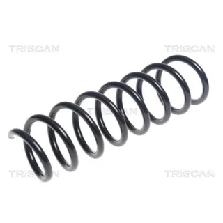 Triscan Feder hinten BMW 5er F10 875011203