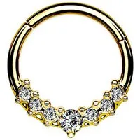 Taffstyle Nasenpiercing Septum Piercing Ring Segmentring Clicker Scharnier mit Kristallen, Nasenpiercing Nasenring Ohrpiercing Ohr Nase Tragus Helix Brust Intim