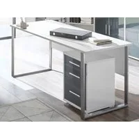 PREISBRECHER Schreibtisch Olivia, 170 x 76 x 73 cm (B/H/T)