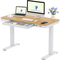 FLEXISPOT Schreibtisch Höhenverstellbarer Schreibtisch MIT Schubladen (mit LED-Höhenanzeige, 4 Speicherhöhen, Anti-Kollisionssystem, USB-C Anschluss), EINFACHE MONTAGE, leise & ergonomisch