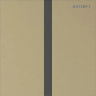 Geberit Ersatzteile Typ 40 Abdeckplatte, eckig für Urinalsteuerung Infrarot, messing, 246121QF1 246121QF1