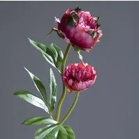 Kunstblume Pfingstrose mit 2 Blüten 60cm DP Seidenblumen künstliche Blumen Päonie, Seidenblumen Roß, Höhe 60 cm, Fuchsia