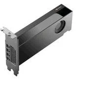 NVIDIA RTX PRO 2000 Blackwell Generation 16GB PB, Grafikkarte Bulk
