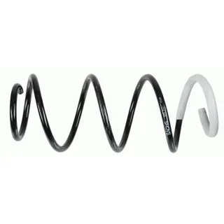 Sachs Feder vorne Renault Clio Modus 993244