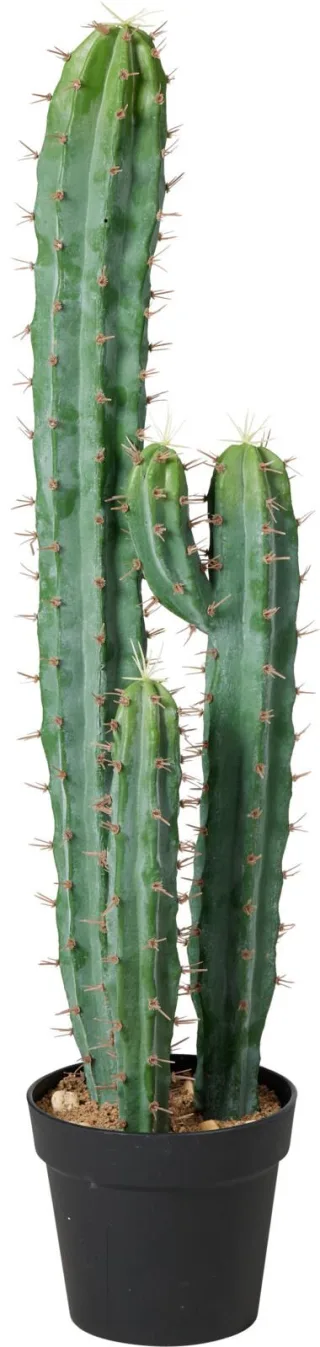 Grün