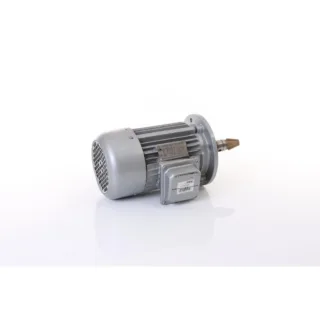 ELMAG Motor für Hubspindel - 9802924