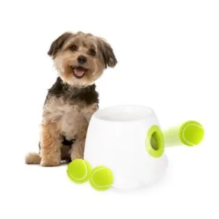 All for paws Automatischer Ballwerfer für klein und mittelgroße Hunde