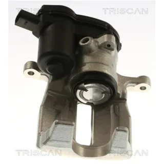 Triscan Bremssattel hinten links Audi A6 A7 817529255