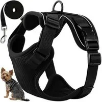 Purlov Geschirr Hundegeschirr Katze Geschirr Set mit Leine reflektierend Größe S, reflektierend verstellbar leicht robust mit Leine Größe S Komfort