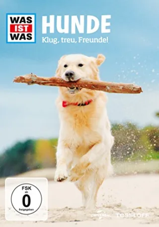 Was ist was - Hunde - Klug treu Freunde!