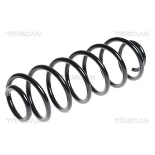 Triscan Feder hinten Mazda 2 DE