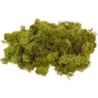 VBS Moos Island, 100 g