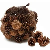 NaDeco Bastelnaturmaterial Tannenzapfen, ca. 5-6cm, 1kg, ca. 50 Stück Pinus nigra