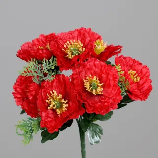 27 cm