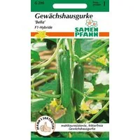 SAMEN PFANN Gemüsesamen Gewächshausgurke, Bella F1 - Gurken-Samen Saatgut Samen, Cucumis sativus