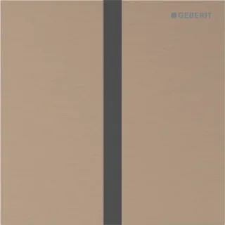 Geberit Typ 40 Urinal-Steuerung mit elektronischer Spül-Auslösung 116227QB1
