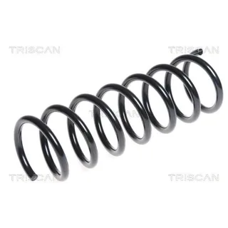 Triscan Feder Hinten Ford C-Max 875016095