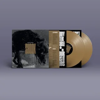 Shook - Strictly Limited Gold Coloured Vinyl Edition [Vinyl LP]