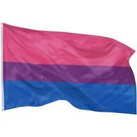 PHENO FLAGS Flagge Bisexuelle Flagge Pride 90 x 150 cm Bisexualität Fahne LGBT (Hissflagge für Fahnenmast), Inkl. 2 Messing Ösen