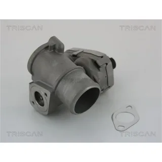 Triscan AGR-Ventil Triscan 2,2